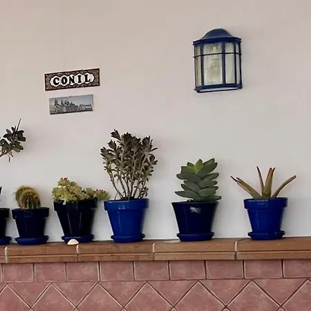 Apartament Duplex Huerta De Enmedio Conil De La Frontera Zewnętrze zdjęcie